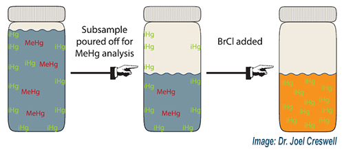 Proposed mechanism for elevated TMg measurements after removal of a subsample.