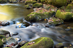 environmental