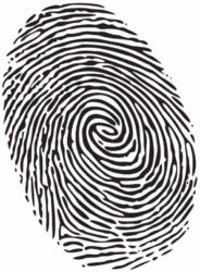 Fingerprint