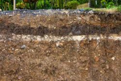 Soil in Depth